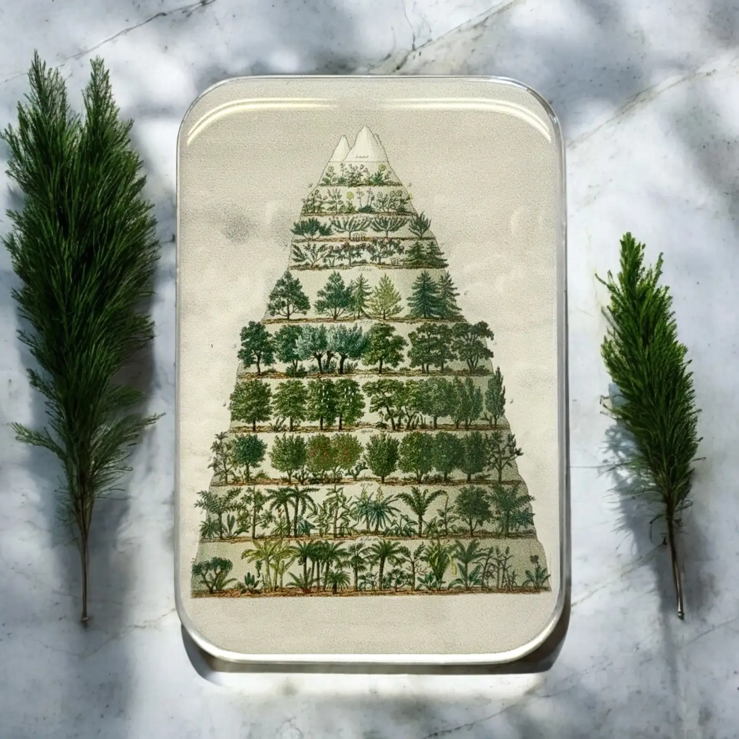 Resin Notions Tins