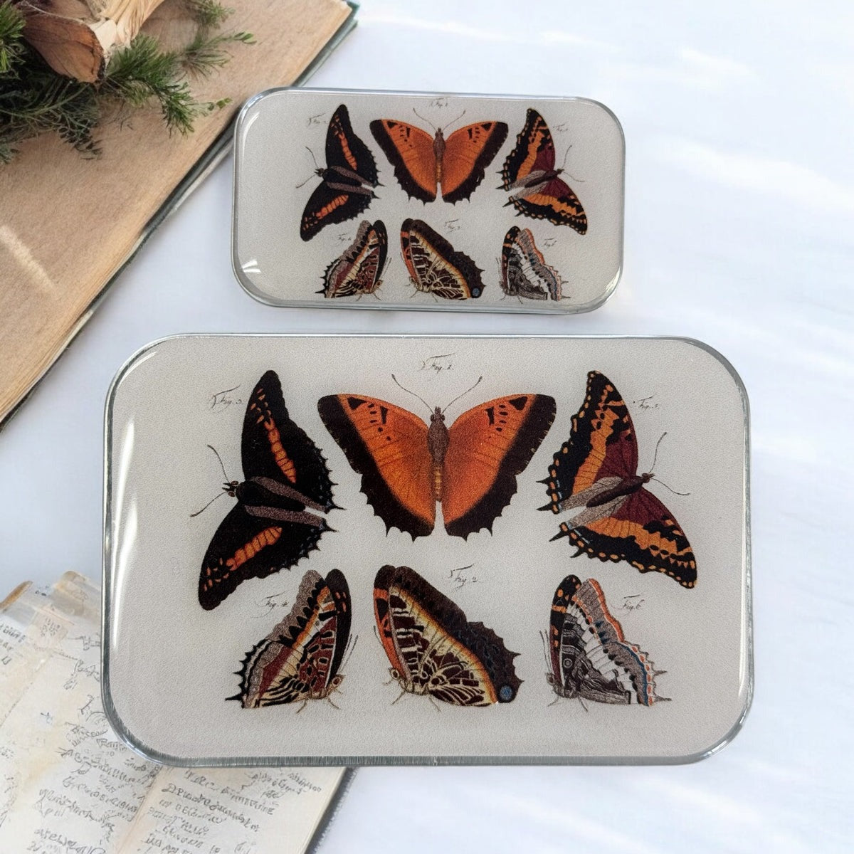 Resin Notions Tins